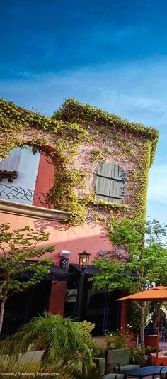 an outdoor restaurant with tables and umbrellas in front of a building that has vines growing on it