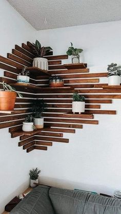 a living room filled with furniture and lots of plants on top of wooden shelving