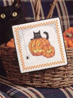 a black cat sitting on top of a couch next to a basket filled with pumpkins