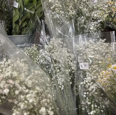 many white flowers in plastic bags on display