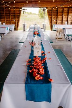 a long table with blue runneres and red flowers on the runners is set up for an outdoor wedding reception