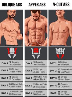 an info sheet showing how to do chest workouts