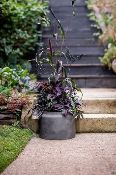 a potted plant sitting on top of a cement step