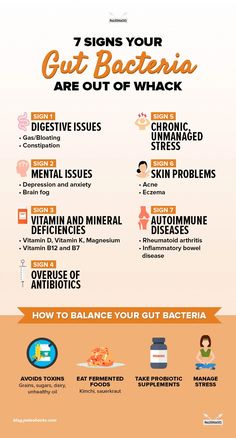 Having an imbalance in gut bacteria is more common than you might think! Find out if you're suffering from stomach bacteria problems and how to fix them. Stomach Bacteria, Nutrition Day, Healing Salve, Makeup Tip, Health Signs, Gut Bacteria, Gut Healing, Nutrition Education, Healthy Gut