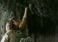 a woman reaching up to the branches of a tree with purple flowers hanging from it