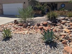 some rocks and plants in front of a house