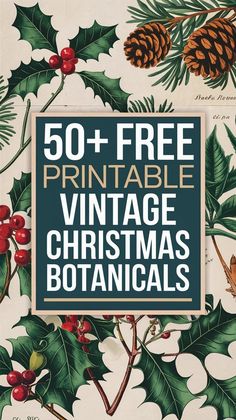 Looking for botanical art prints with a vintage touch? Get 50+ vintage Christmas botanicals for your holiday projects, featuring poinsettias, Christmas amaryllis', and Christmas roses. These free vintage printables are ideal for holiday invitations, gift wrap, and vintage Christmas cards. Download your free prints now and save this pin for festive inspiration! Free Vintage Christmas Printables, Christmas Amaryllis, Christmas Botanicals, Amaryllis Christmas, Christmas Wall Prints, Botanical Printables, Christmas Roses, Holiday Cards Handmade, Vintage Inspired Christmas