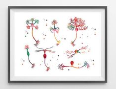 an art print with different types of plants and flowers on white paper, framed in black frame