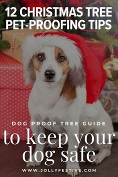 a dog wearing a santa hat with the words, 12 christmas tree pet - proofing tips