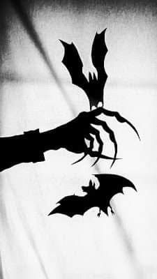 two black bats are being held up by someone's hand with their shadow on the wall