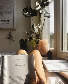 a person laying in bed reading a book next to a potted plant on the window sill