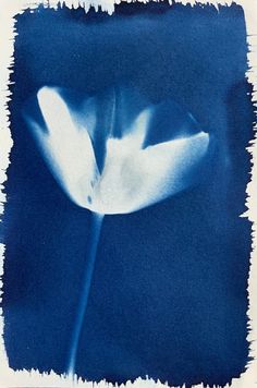 a blue and white flower is in the middle of an image with watermarks