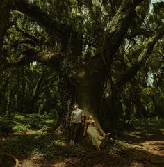 a man and woman standing in the middle of a forest next to a large tree