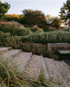 a wooden bench sitting in the middle of a garden