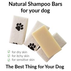 COCONUT MILK DOG SHAMPOO Natural Bar Soap for Dogs with sensitive skin - The Good Life Vibe Diy Scrubs, Shampoo Natural, Natural Shampoo Bar, Cat Shampoo, Pet Hotel