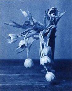 a vase filled with white flowers on top of a table