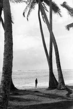 black and white photograph of person standing on beach with palm trees in foreground, looking out to sea