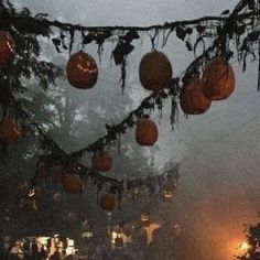 lanterns are hanging from a tree in the foggy night with no one around them