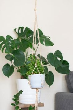 a potted plant hanging from a rope with text overlay that reads how to hang a boho camper decor