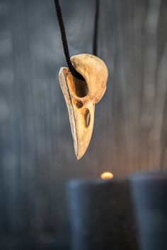 an animal's skull hanging from a rope