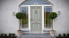 two potted plants are sitting in front of a gray door with arched glass windows