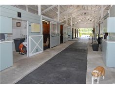 a dog is standing in the middle of an open building with white walls and doors