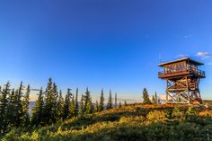 a tall wooden tower sitting on top of a lush green hillside covered in trees and bushes