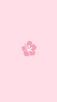 a pink flower on a light pink background