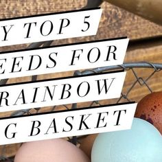 several eggs in a basket with the words top 5 feeds for rainbow egg basket