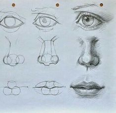 a drawing of different types of eyes