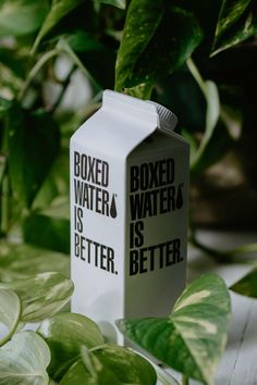 a milk carton sitting on top of a table next to green plants and leaves