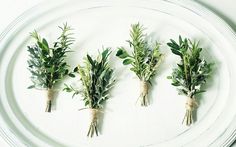 four bundles of fresh herbs tied together on a white plate