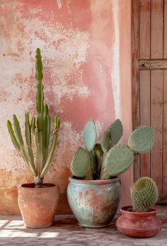 three potted plants sitting on top of a wooden table next to a pink wall