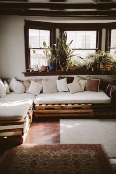 a living room filled with lots of furniture next to a large potted plant on top of a window sill