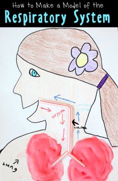 a child's drawing with the words how to make a model of the respiratory system