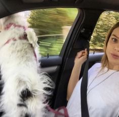 a woman sitting in the back seat of a car next to a dog