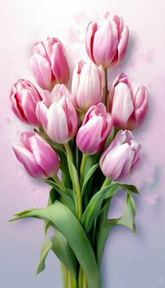 a bouquet of pink tulips on a light blue and white background with green stems