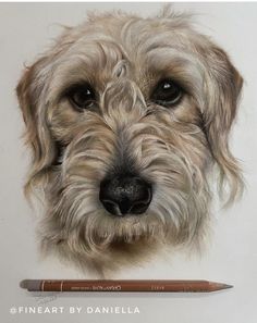 a drawing of a dog's face with a pencil in it's mouth