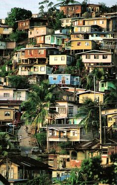 many houses are on the top of a hill