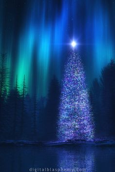 a christmas tree is lit up in the night sky with aurora bores above it