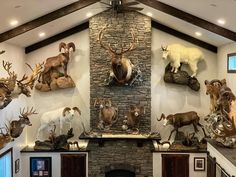 several deer heads mounted on the wall above a fireplace