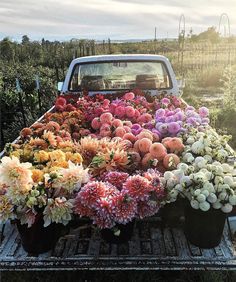 a pick up truck filled with lots of flowers