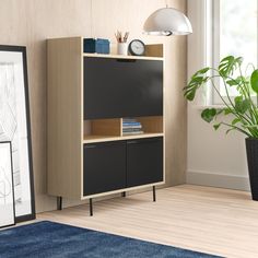 a room with a blue rug and a black cabinet next to a potted plant