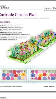 a garden plan with flowers and plants in it