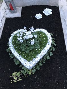 a heart shaped planter with white flowers and green moss in the shape of a heart