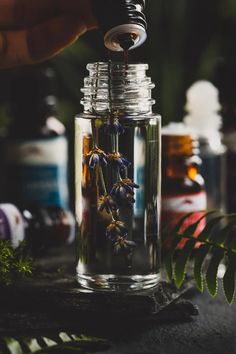 Botanical Fixatives in Natural Perfumes Herbalism Aesthetic, Witch Oils, Natural Nausea Remedies, Lemon Balm Essential Oil, Herbalist Shop, Palmarosa Essential Oil, Remedies For Nausea, Botanical Perfume, Mountain Rose Herbs