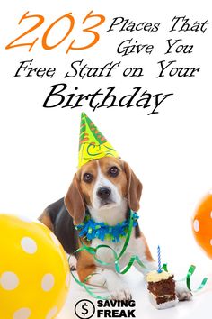 a dog wearing a birthday hat sitting in front of balloons and cake with the caption reads, 2013 places that give you free stuff on your birthday