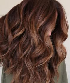 Light Brown And Auburn Balayage, Natural Looking Highlights For Dark Hair, Rust Brown Hair Color, Auburn Balayage On Light Brown Hair, Very Natural Highlights On Brown Hair, Golden Chocolate Hair, Neutral Auburn Hair, Light Amber Golden Brown Hair, Brown Hair Copper Undertone