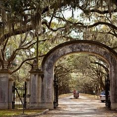 an archway with trees lining the sides and cars parked on the other side