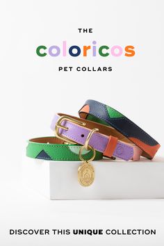 Colorful leather Dog Collars with gold hardware Trendy Dog Collar, Dog Accessories Packaging, Dog Collar Photography, Dog Collar Product Photography, Dog Brands, Pets Aesthetic, Unique Tapestry, Pet Magazine, Unique Dog Collars